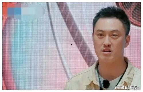 娱乐圈吃瓜王座是谁呀,揭秘幕后风云人物